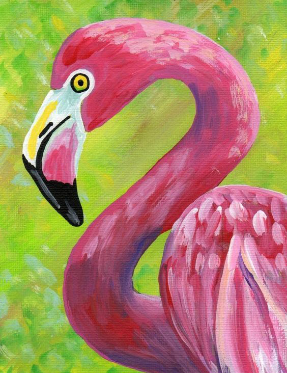 Amazing Animals (Ages 5-8) Amazing Animals (Ages 5-8)
